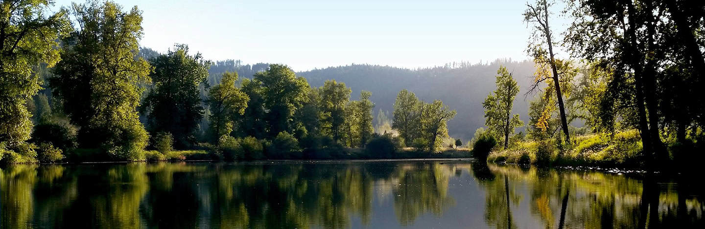 Serene river landscape with lush green trees, calm water reflection, and distant hills under bright sunlight, representing tranquility and natural beauty.