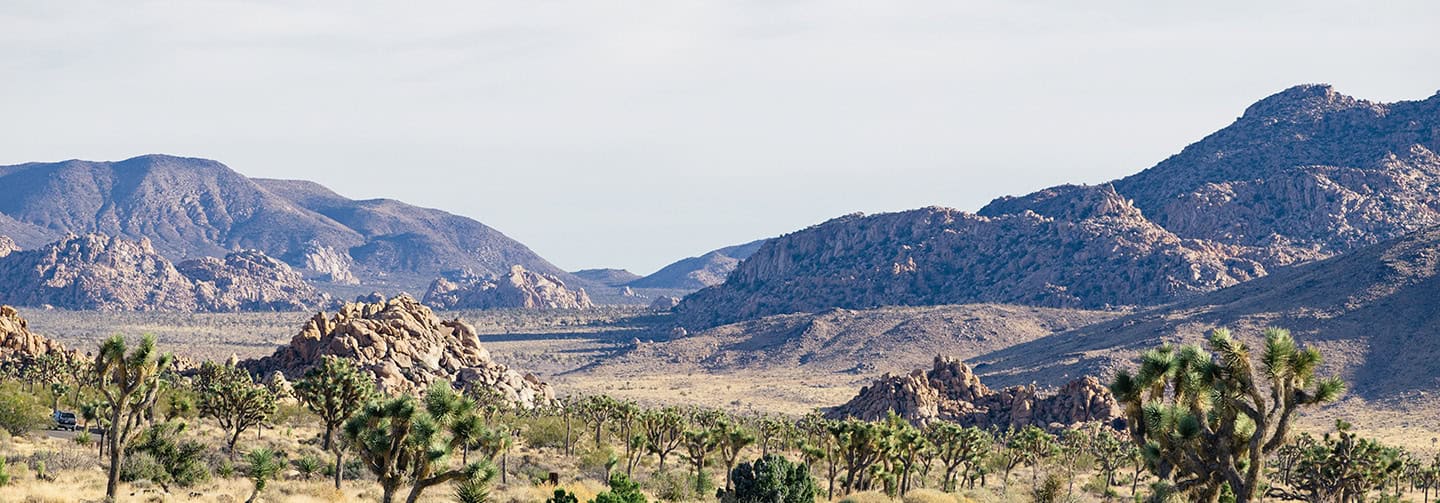 Inland Empire: A Diverse Region Focused on Equity