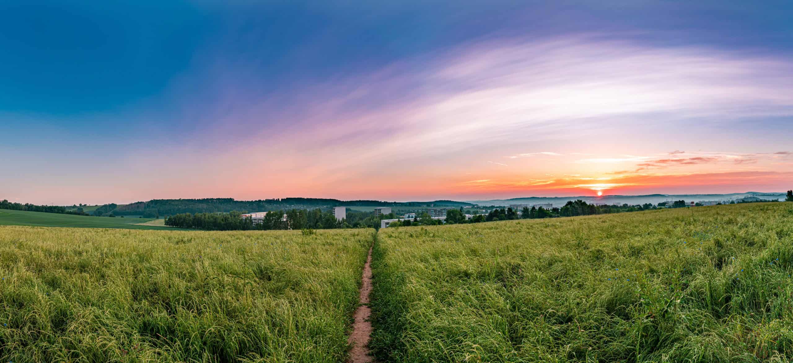 Lush green fields at sunset with a small dirt path leading towards a distant cityscape, illustrating growth and opportunity in higher education and the mission of Complete College America.
