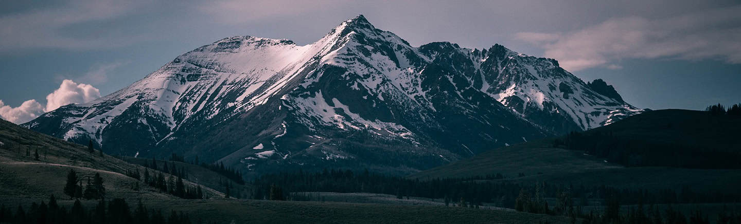 Mountains with snow caps and lush green valleys, symbolizing growth and achievement in higher education.