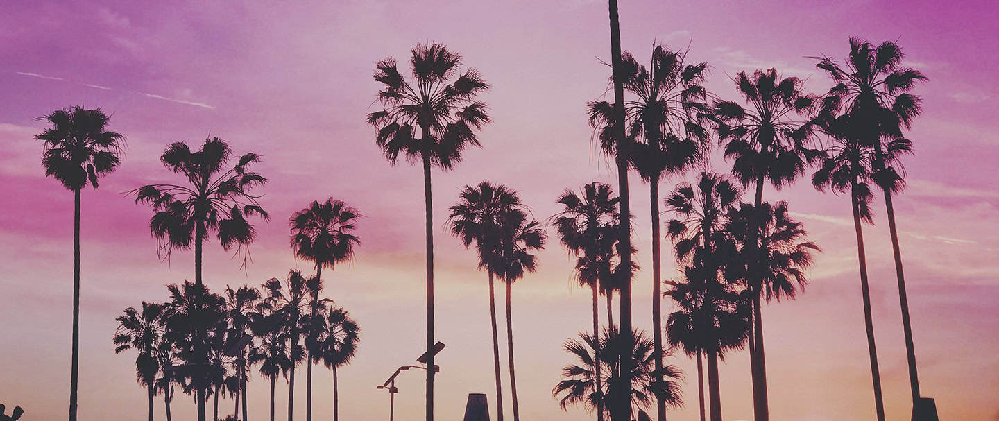 Pink sunset sky with tall palm trees in an urban setting during twilight.