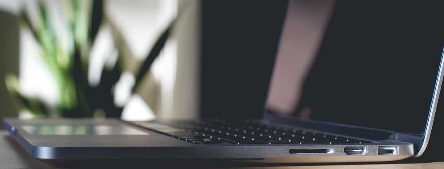 Laptop computer on a wooden desk with a blurred background of a houseplant.