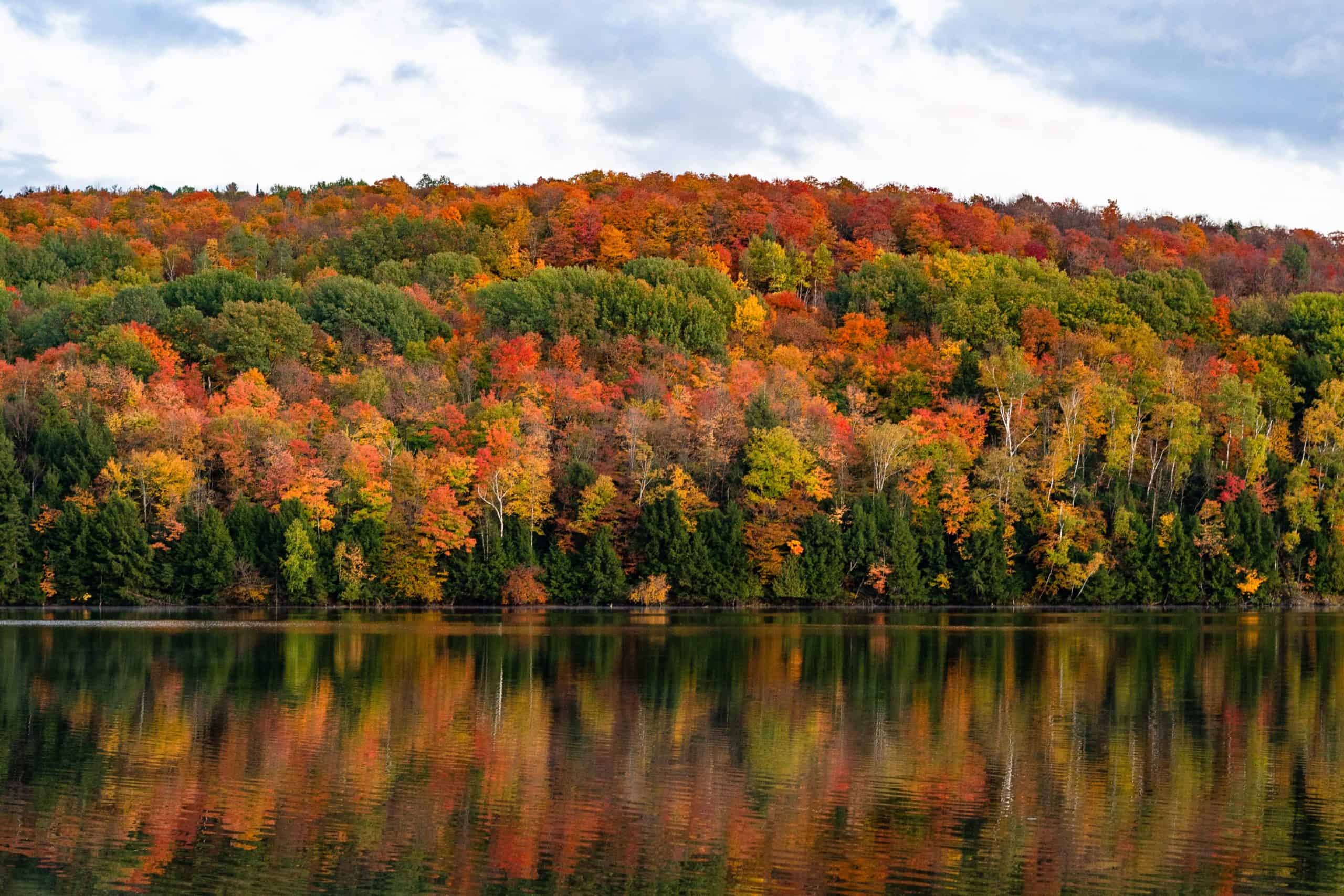 Colorful autumn foliage on a hillside with reflections in a calm lake, showcasing vibrant fall leaves and scenic nature.