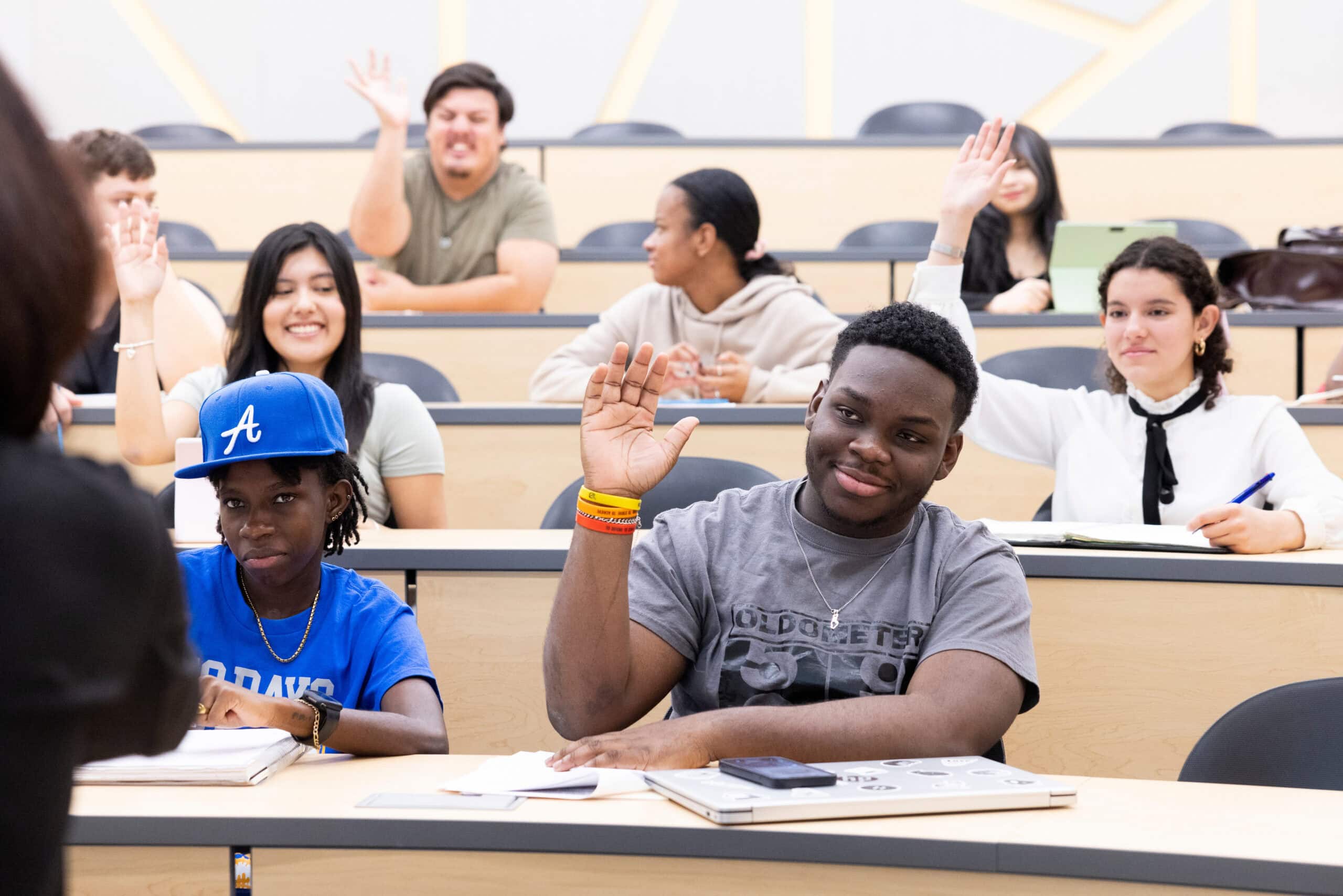 Beyond Access: A Corequisite Institute for Practitioners